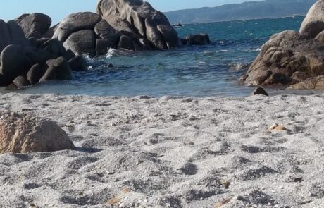 affitto-appartamenti-mare-san-teodoro-Puntaldia-14-1500×430 affitto appartamenti mare san teodoro Puntaldia 14 1500x430 1 Case Vacanze San Teodoro Sardegna